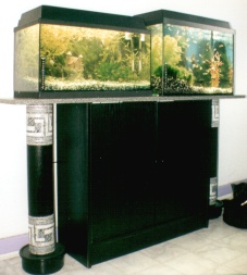 Aquarien