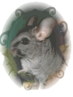Picco