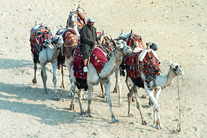 Reise &Auml;gypten
