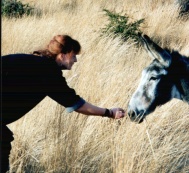 Tiere