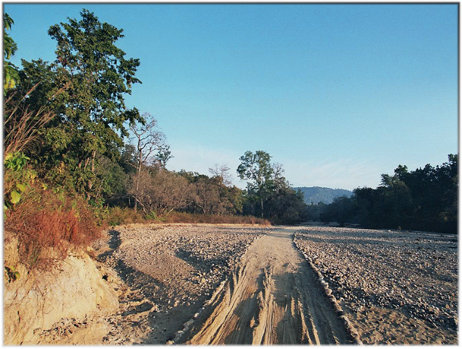 Corbett National Park