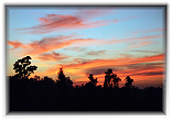 Kanha National Park
