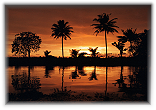 Kottayam