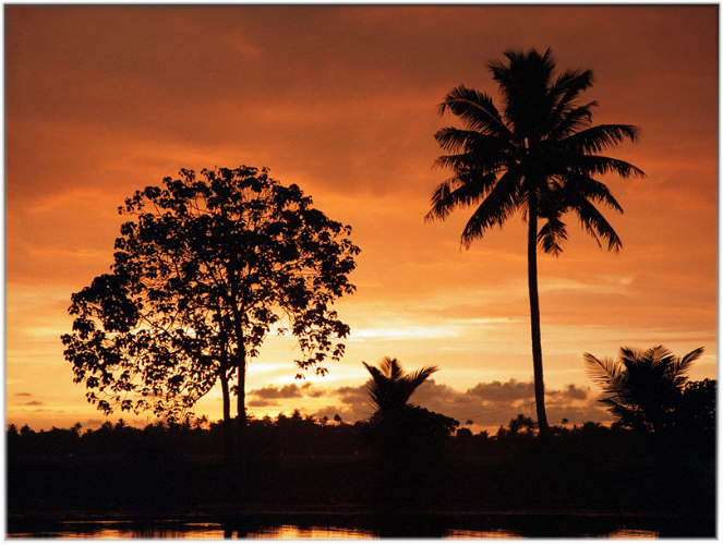 Kottayam