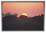 Ranthambore National Park
