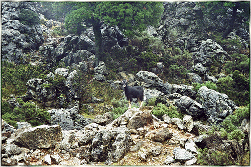 Unterwegs auf Kreta