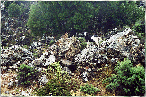 Unterwegs auf Kreta