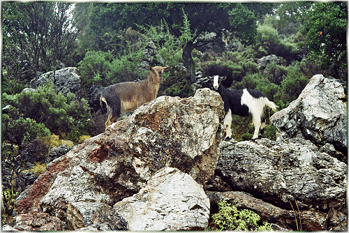 Unterwegs auf Kreta