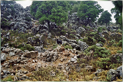 Unterwegs auf Kreta